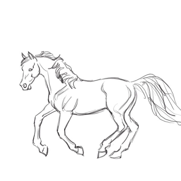 How To Draw A Mustang Horse Step By Step - How To Draw A Baby Mustang Horse