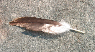 eagle feather on Big Indian Rock, Susquehanna River