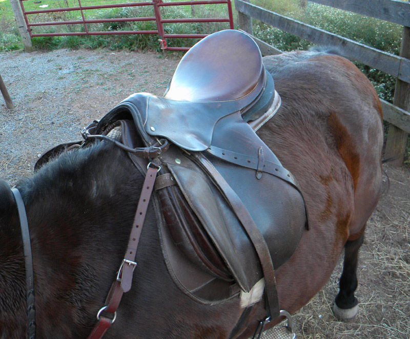saddle, top view